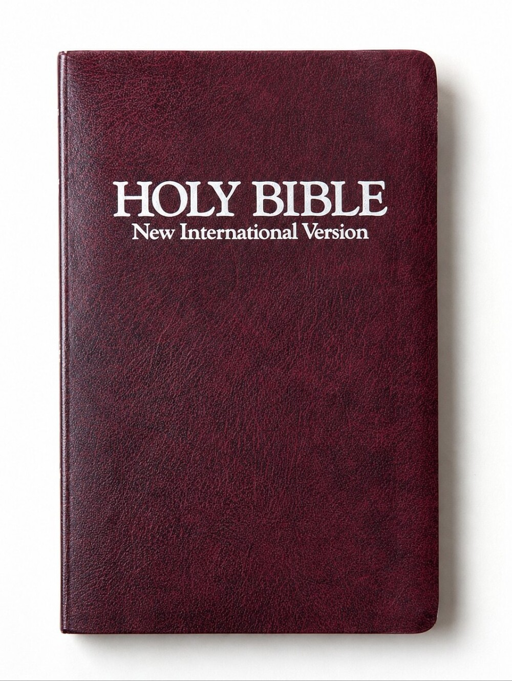 Holy Bible Zondervan Red Letter NIV 1988 Dictionary Concordance w/ Helps Leather